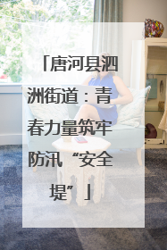 唐河县泗洲街道：青春力量筑牢防汛“安全堤”