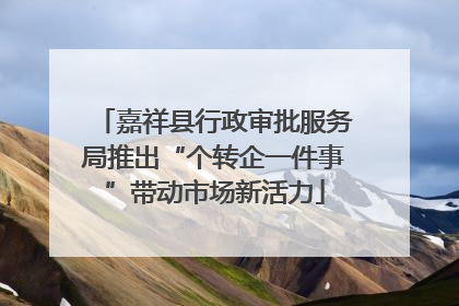 嘉祥县行政审批服务局推出“个转企一件事”带动市场新活力