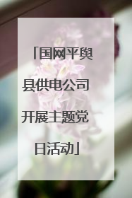 国网平舆县供电公司开展主题党日活动