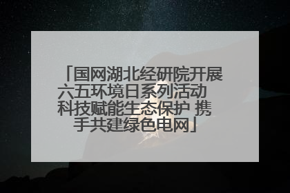 国网湖北经研院开展六五环境日系列活动 科技赋能生态保护 携手共建绿色电网