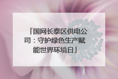 国网长泰区供电公司：守护绿色生产赋能世界环境日