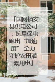 国网镇安县供电公司：抗旱保电跑出“加速度” 全力守护农田灌溉用电