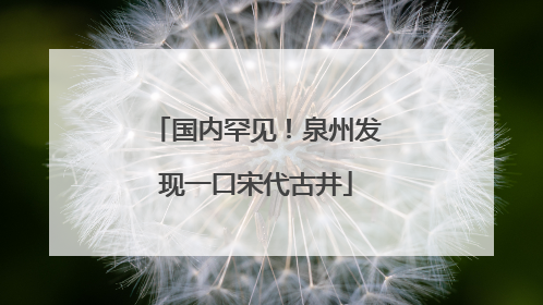 国内罕见！泉州发现一口宋代古井