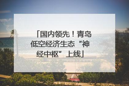 国内领先！青岛低空经济生态“神经中枢”上线