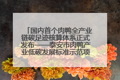 国内首个肉鸭全产业链碳足迹核算体系正式发布——泰安市肉鸭产业低碳发展标准示范项目顺利通过验收