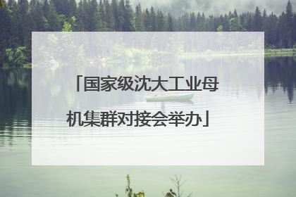 国家级沈大工业母机集群对接会举办