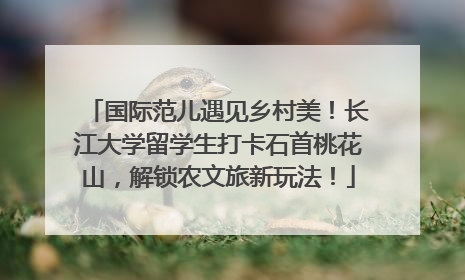 国际范儿遇见乡村美！长江大学留学生打卡石首桃花山，解锁农文旅新玩法！
