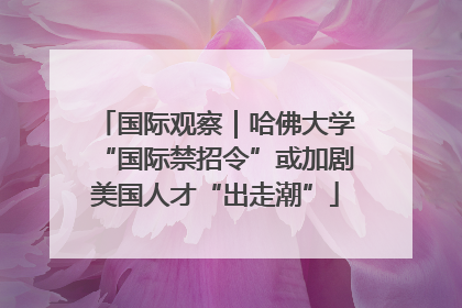 国际观察｜哈佛大学“国际禁招令”或加剧美国人才“出走潮”