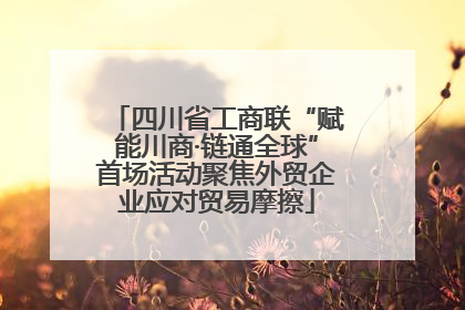 四川省工商联“赋能川商·链通全球”首场活动聚焦外贸企业应对贸易摩擦