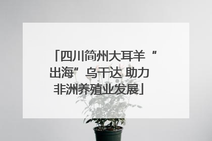 四川简州大耳羊“出海”乌干达 助力非洲养殖业发展