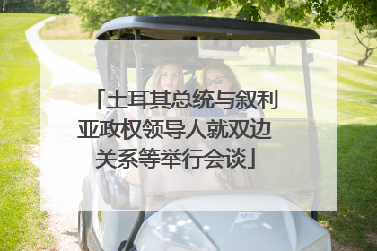 土耳其总统与叙利亚政权领导人就双边关系等举行会谈