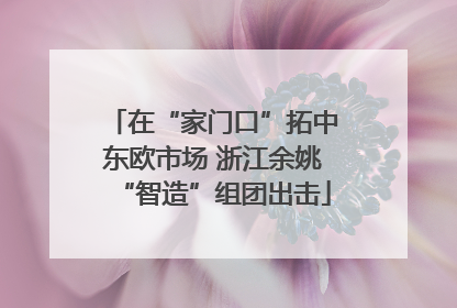 在“家门口”拓中东欧市场 浙江余姚“智造”组团出击