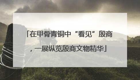 在甲骨青铜中“看见”殷商，一展纵览殷商文物精华