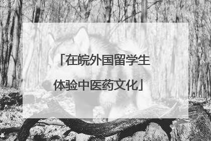 在皖外国留学生体验中医药文化