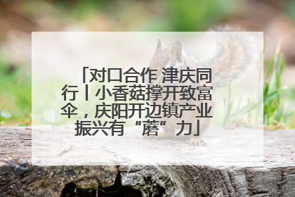 对口合作 津庆同行丨小香菇撑开致富伞，庆阳开边镇产业振兴有“蘑”力