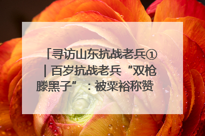寻访山东抗战老兵①｜百岁抗战老兵“双枪滕黑子”：被粟裕称赞的“孤胆英雄”