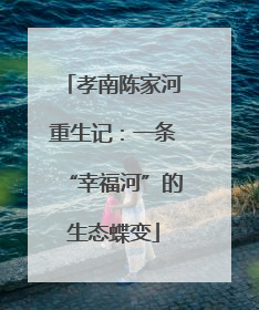 孝南陈家河重生记：一条“幸福河”的生态蝶变
