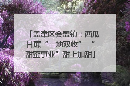 孟津区会盟镇：西瓜甘蔗“一地双收” “甜蜜事业”甜上加甜