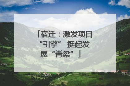 宿迁：激发项目“引擎” 挺起发展“脊梁”