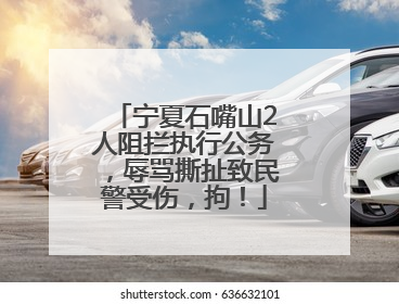 宁夏石嘴山2人阻拦执行公务，辱骂撕扯致民警受伤，拘！