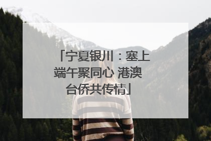 宁夏银川：塞上端午聚同心 港澳台侨共传情