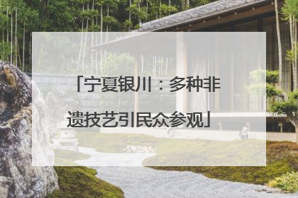 宁夏银川：多种非遗技艺引民众参观