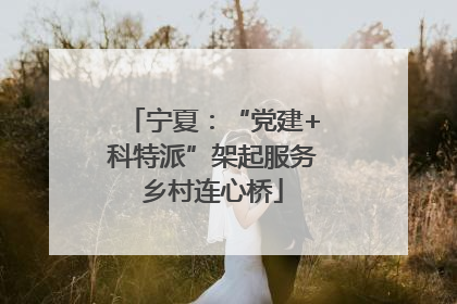 宁夏：“党建+科特派”架起服务乡村连心桥