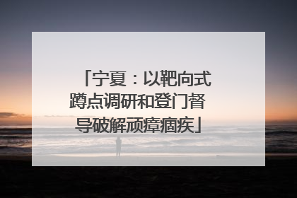 宁夏：以靶向式蹲点调研和登门督导破解顽瘴痼疾