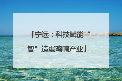 宁远：科技赋能“智”造蛋鸡鸭产业