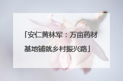 安仁黄林军：万亩药材基地铺就乡村振兴路