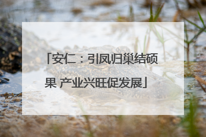 安仁：引凤归巢结硕果 产业兴旺促发展