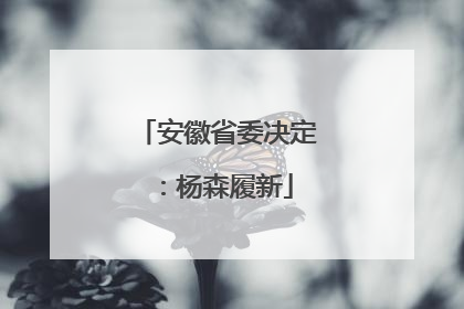 安徽省委决定：杨森履新