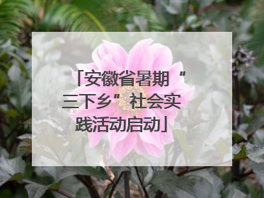 安徽省暑期“三下乡”社会实践活动启动