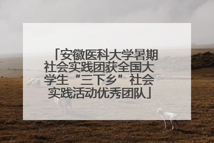 安徽医科大学暑期社会实践团获全国大学生“三下乡”社会实践活动优秀团队