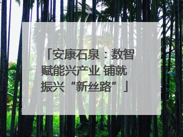 安康石泉：数智赋能兴产业 铺就振兴“新丝路”