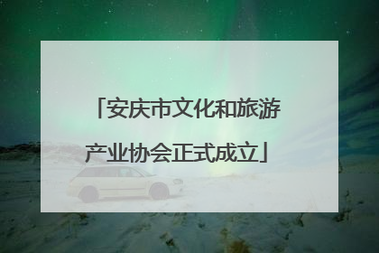 安庆市文化和旅游产业协会正式成立