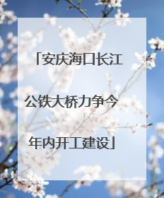 安庆海口长江公铁大桥力争今年内开工建设