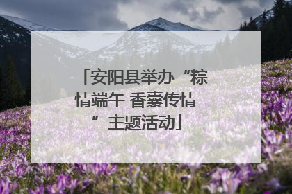 安阳县举办“粽情端午 香囊传情”主题活动