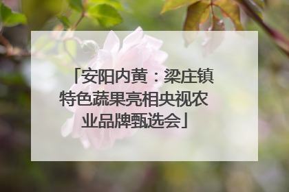 安阳内黄：梁庄镇特色蔬果亮相央视农业品牌甄选会