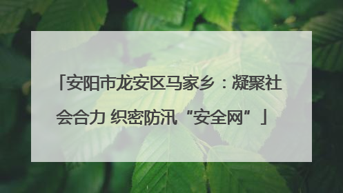 安阳市龙安区马家乡：凝聚社会合力 织密防汛“安全网”