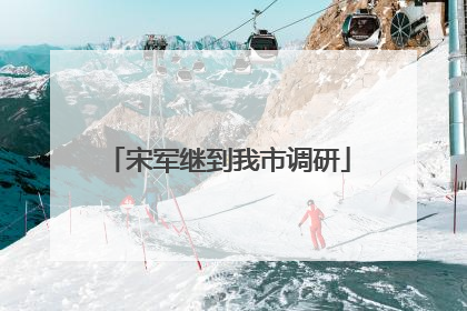 宋军继到我市调研