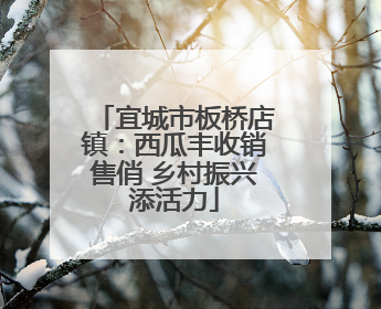 宜城市板桥店镇：西瓜丰收销售俏 乡村振兴添活力