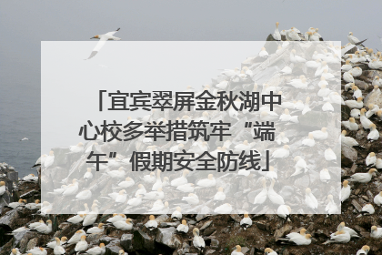 宜宾翠屏金秋湖中心校多举措筑牢“端午”假期安全防线