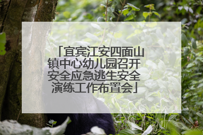宜宾江安四面山镇中心幼儿园召开安全应急逃生安全演练工作布置会