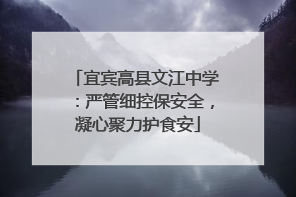 宜宾高县文江中学：严管细控保安全，凝心聚力护食安