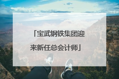 宝武钢铁集团迎来新任总会计师