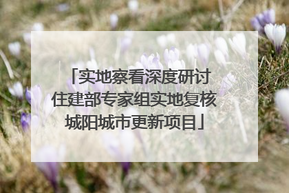 实地察看深度研讨 住建部专家组实地复核城阳城市更新项目