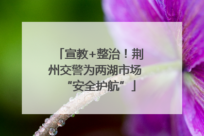 宣教+整治！荆州交警为两湖市场“安全护航”