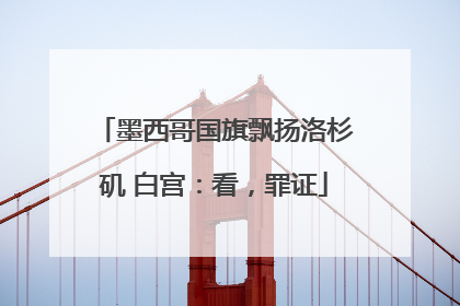 墨西哥国旗飘扬洛杉矶 白宫：看，罪证