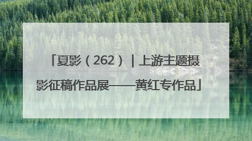 夏影（262）｜上游主题摄影征稿作品展——黄红专作品
